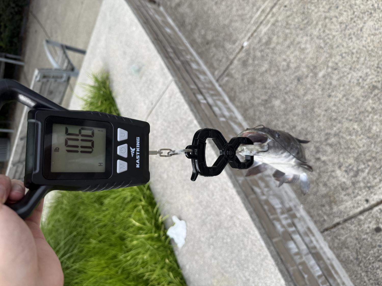 A digital fishing scale reading 1.06 pounds with a catfish suspended from its clip.